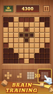 Block Puzzle — Sudoku 2.7.25. Скриншот 2