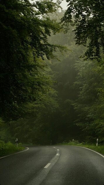 Природа красота