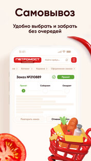 Петромост 4.02.0. Скриншот 4