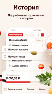 Петромост 4.02.0. Скриншот 5