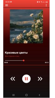 Music_Repository. Скриншот 7