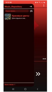 Music_Repository. Скриншот 6