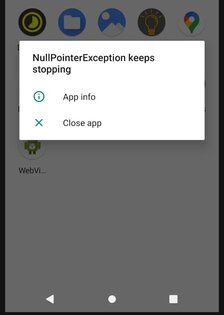 Null Pointer Exception. Скриншот 2