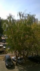Обзор Nokia Lumia 1320