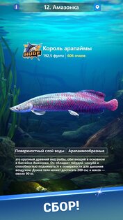 Fishing Travel: Hook & Explore 0.55. Скриншот 5