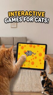 Игры для кошек 1.0.13. Скриншот 1