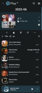 RiPlay 0.7.93. Скриншот 2