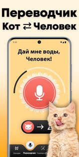 Кошачий переводчик 1.9. Скриншот 2