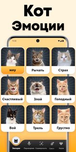 Кошачий переводчик 1.9. Скриншот 3