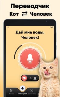 Кошачий переводчик 1.9. Скриншот 6