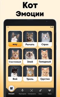 Кошачий переводчик 1.9. Скриншот 7