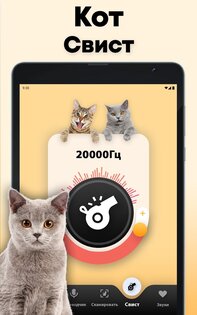 Кошачий переводчик 1.9. Скриншот 8