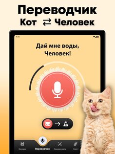 Кошачий переводчик 1.9. Скриншот 10
