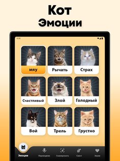 Кошачий переводчик 1.9. Скриншот 11