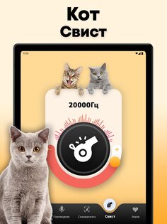 Кошачий переводчик 1.9. Скриншот 12