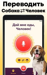Переводчик собаки 1.18. Скриншот 6