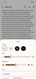 Liseur 0.7.0. Скриншот 4