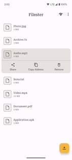 Filester 3.2.0-foss. Скриншот 2