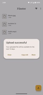 Filester 3.2.0-foss. Скриншот 3