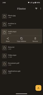 Filester 3.2.0-foss. Скриншот 6