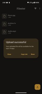 Filester 3.2.0-foss. Скриншот 7