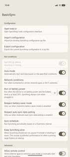 BasicSync 3.10. Скриншот 2