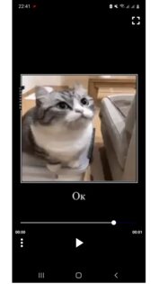 Video_Viewer 1.0. Скриншот 2