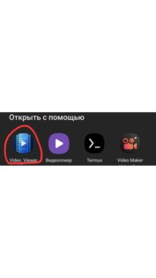 Video_Viewer 1.0. Скриншот 1