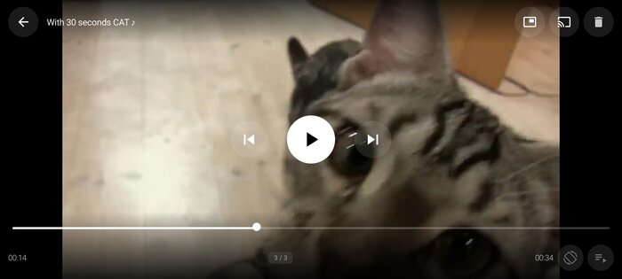 NekoVideo 1.5.0. Скриншот 11