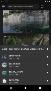Video Downloader 2.8.3. Скриншот 2
