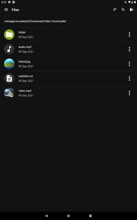 Video Downloader 2.8.3. Скриншот 19
