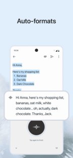 Typeless 2.7.0. Скриншот 4