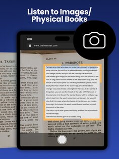NaturalReader 9.46. Скриншот 24
