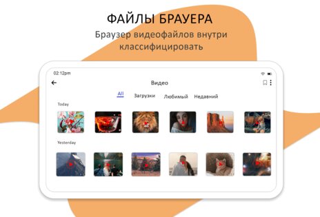 Мои файлы 8.8.2. Скриншот 9