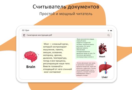 Мои файлы 8.8.2. Скриншот 10