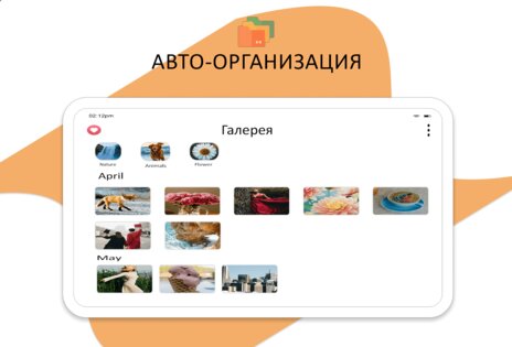 Мои файлы 8.8.2. Скриншот 14