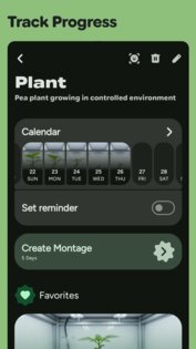 Momentum 1.8.5. Скриншот 6