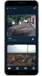 Motion-UI 1.0.1. Скриншот 1