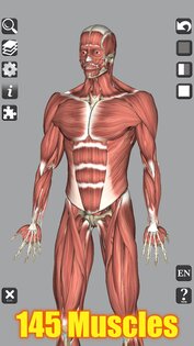 3D Bones and Muscles (Anatomy) 6.1. Скриншот 2