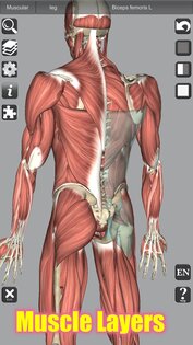 3D Bones and Muscles (Anatomy) 6.1. Скриншот 3