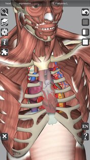 3D Bones and Muscles (Anatomy) 6.1. Скриншот 7