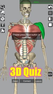 3D Bones and Muscles (Anatomy) 6.1. Скриншот 8