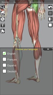 3D Bones and Muscles (Anatomy) 6.1. Скриншот 16
