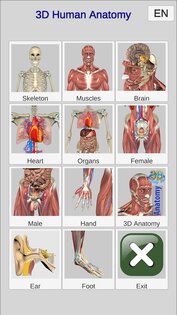 3D Bones and Muscles (Anatomy) 6.1. Скриншот 17