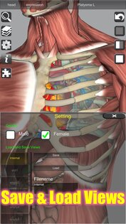 3D Bones and Muscles (Anatomy) 6.1. Скриншот 21