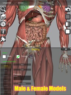 3D Bones and Muscles (Anatomy) 6.1. Скриншот 22
