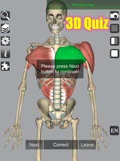 3D Bones and Muscles (Anatomy) 6.1. Скриншот 23