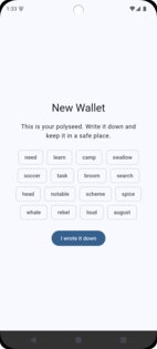 Skylight Wallet 1.0.11. Скриншот 5
