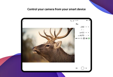 Sony Creators App 3.4.1. Скриншот 15