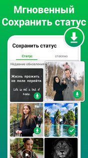 Загрузчик статуса 4.6.6. Скриншот 11